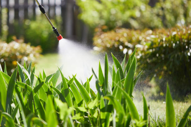Tamper-Resistant Bait Stations for Rodents in Barneveld