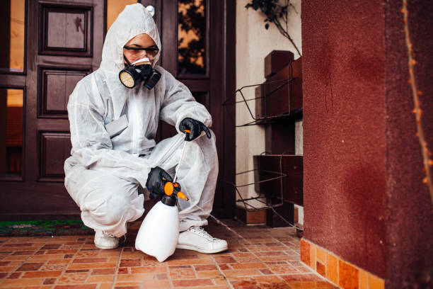 Attic and Crawl Space Rodent Treatment in Barneveld